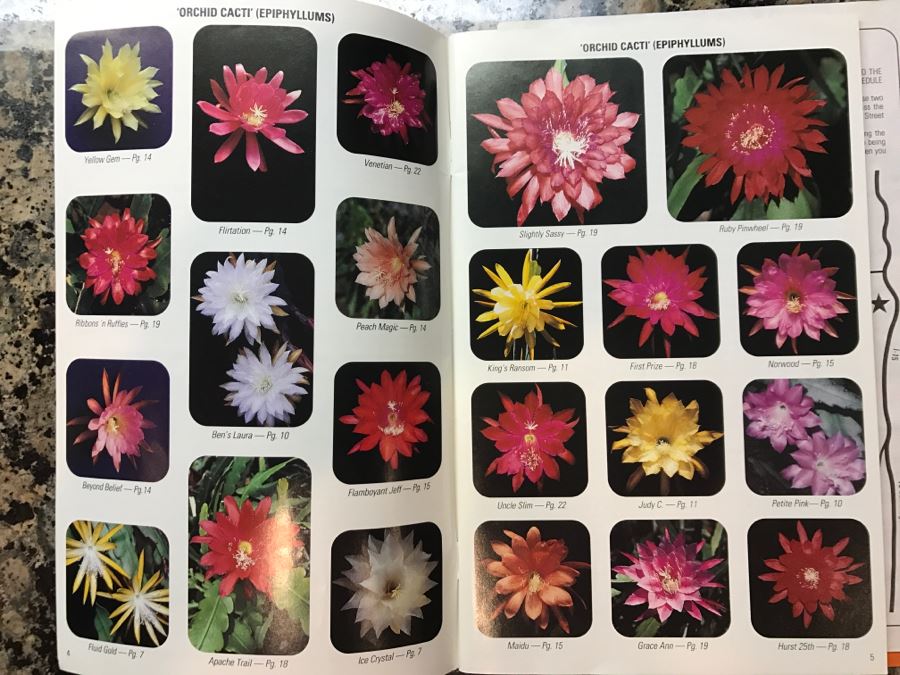 Shade House Full Of Epiphyllum Orchid Cactus Plants In Bloom 20+ Plants [Photo 20]