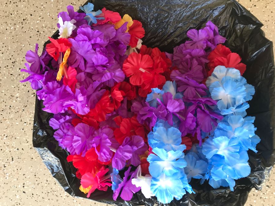 JUST ADDED - Box Filled With Party Leis [Photo 1]