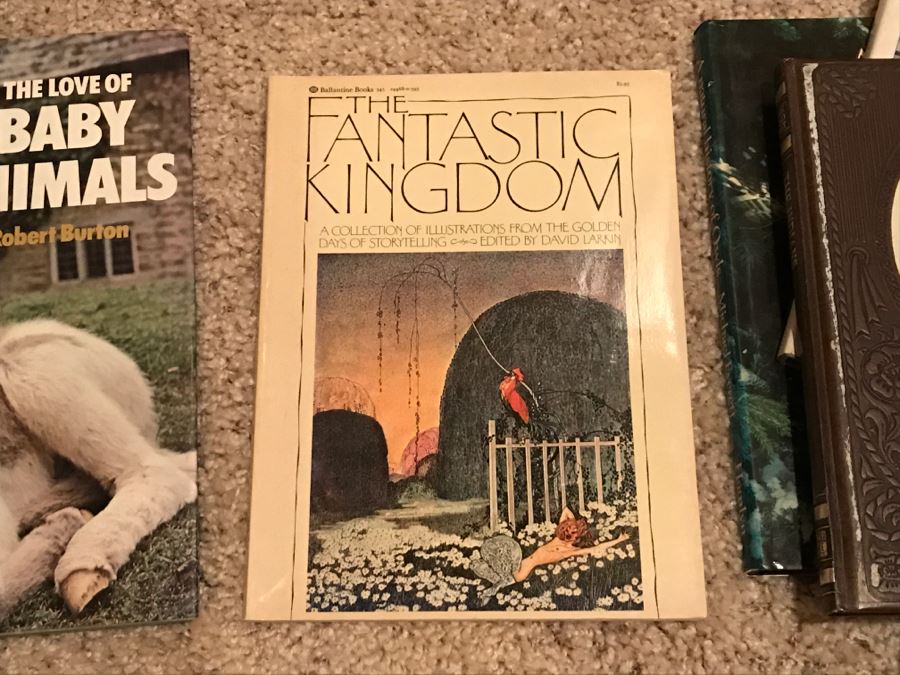 JUST ADDED - Book Lot #1 [Photo 10]