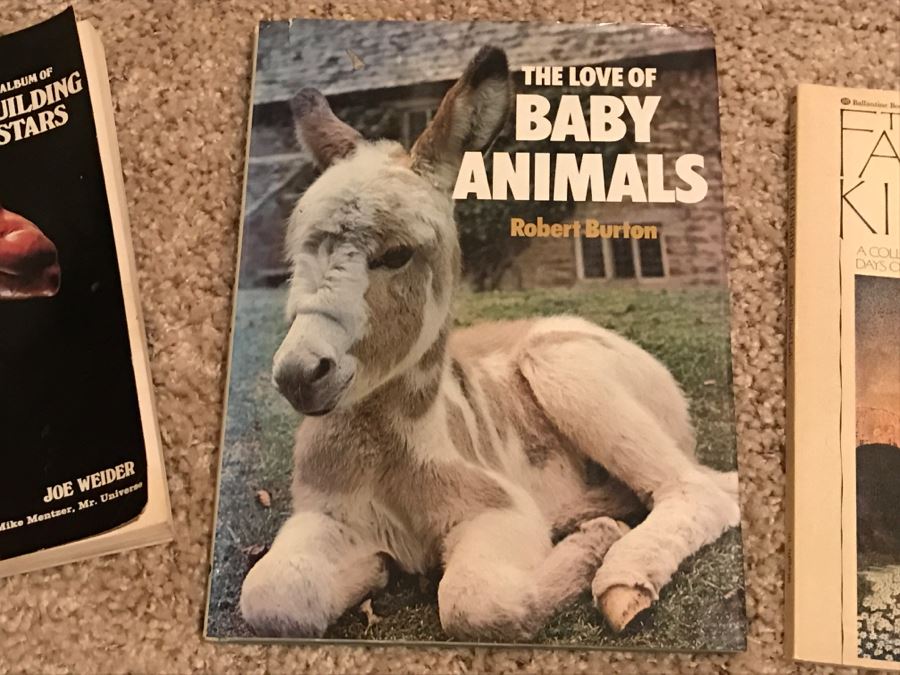 JUST ADDED - Book Lot #1 [Photo 14]