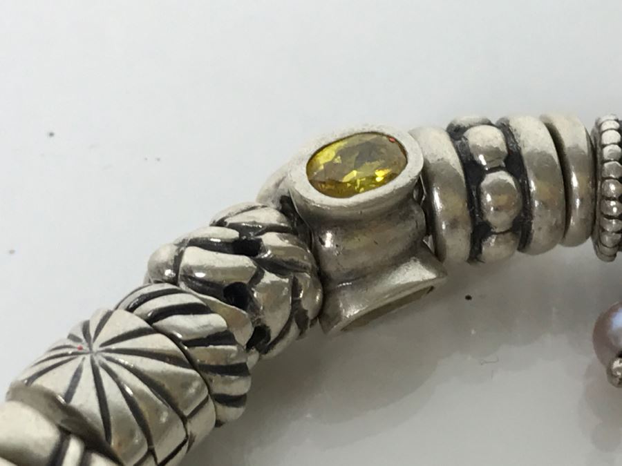 Sterling Silver PANDORA Charm Bracelet 94.7g [Photo 5]