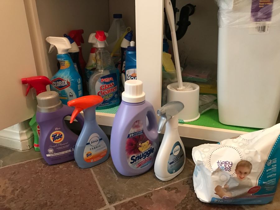 Cleaning Supplies Lot [Photo 1]