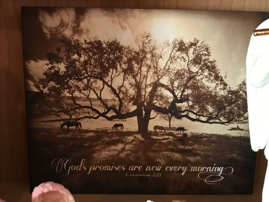 Angel Figurine Lot - See Details For Interesting Story On What Happened Shooting These [Photo 16]