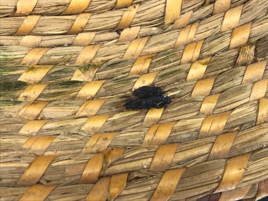 Large Vintage Native American Indian Basket - Does Not Include Stand [Photo 8]