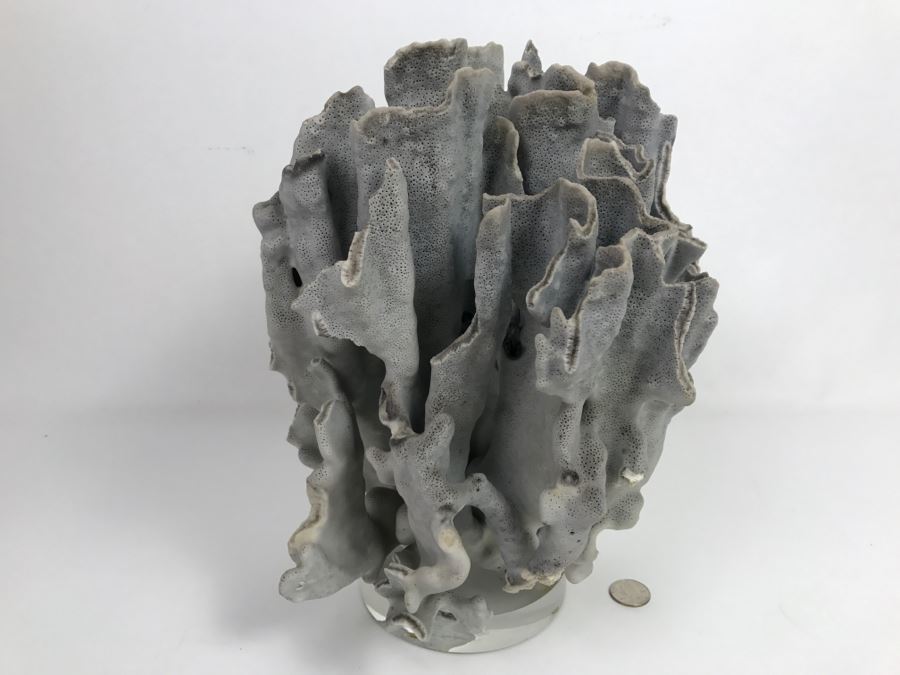 Organic Coral Sculpture On Acrylic Base [Photo 2]
