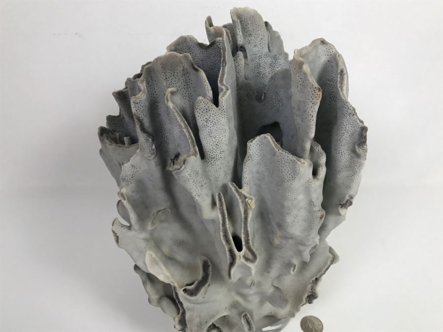 Organic Coral Sculpture On Acrylic Base [Photo 10]