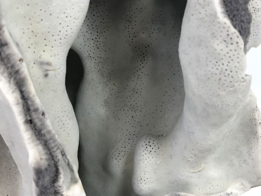 Organic Coral Sculpture On Acrylic Base [Photo 8]