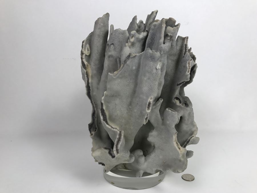 Organic Coral Sculpture On Acrylic Base [Photo 4]