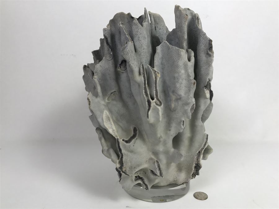 Organic Coral Sculpture On Acrylic Base [Photo 9]