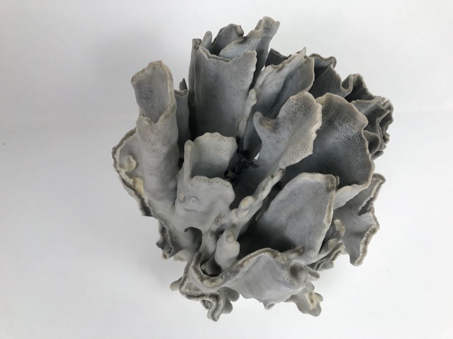 Organic Coral Sculpture On Acrylic Base [Photo 5]