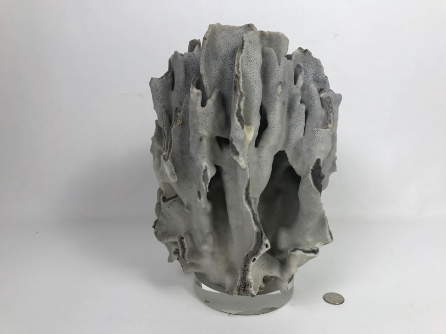 Organic Coral Sculpture On Acrylic Base [Photo 6]