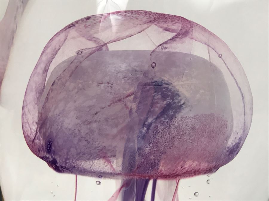 Vintage 2002 Hot Island Glass Maui Jellyfish Art Glass Sculpture W.C. Chris Lowry Estimate $400 [Photo 5]