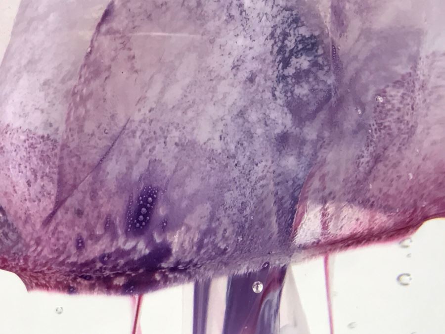 Vintage 2002 Hot Island Glass Maui Jellyfish Art Glass Sculpture W.C. Chris Lowry Estimate $400 [Photo 9]