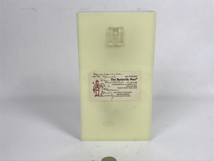 Butterfly Display Artwork In Acrylic Shawdow Box Display (2) Lavender Jewel Butterflies From Australia And (1) Amazon Jewel Butterfly From Ken Denton The Butterfly Man Laguna Beach, CA [Photo 3]