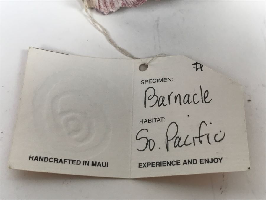 Organic Barnacle From The South Pacific Handcrafted In Maui [Photo 6]