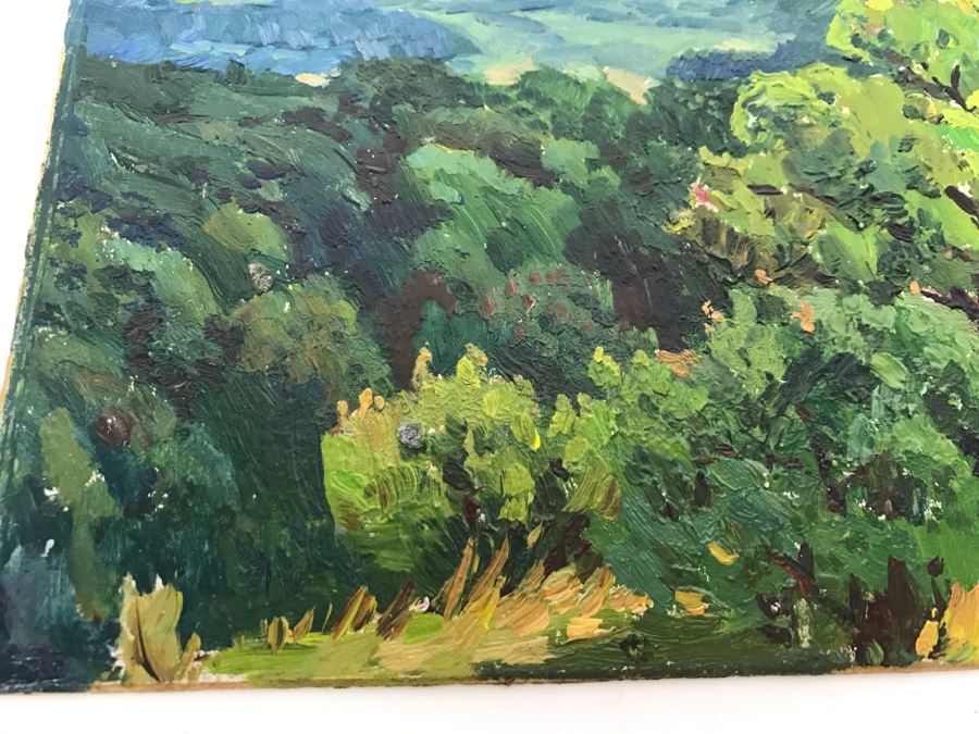 Original Russian Plein Air Landscape Oil Painting Signed On Back 12' X 8.75' [Photo 8]