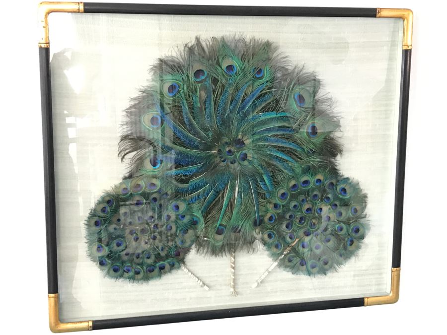 Shadow Box Framed Set Of (3) Vintage Peacock Fans [Photo 2]