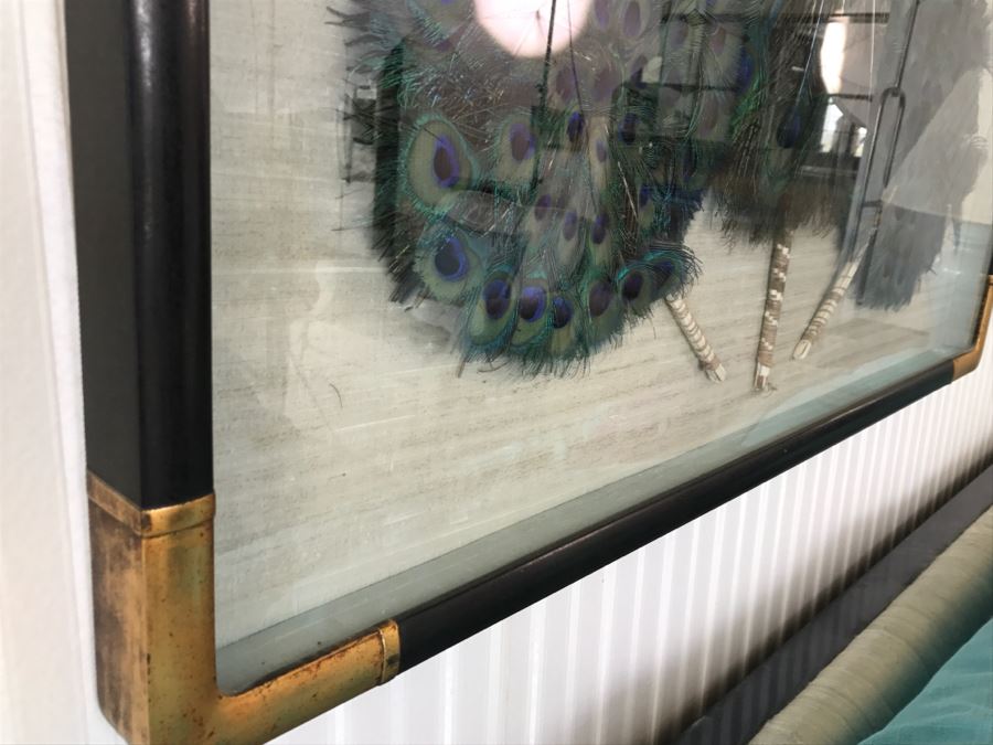 Shadow Box Framed Set Of (3) Vintage Peacock Fans [Photo 9]