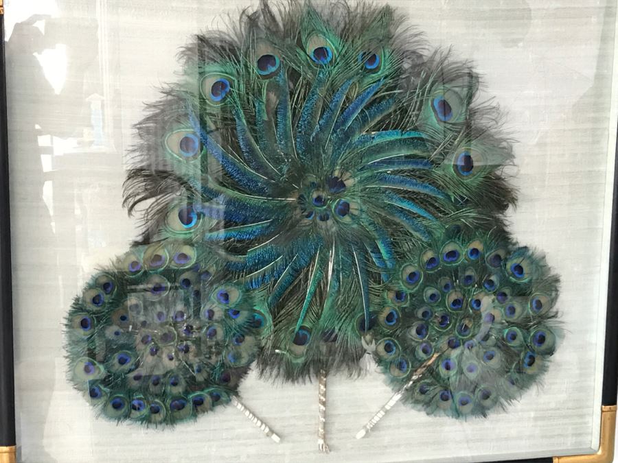 Shadow Box Framed Set Of (3) Vintage Peacock Fans [Photo 3]