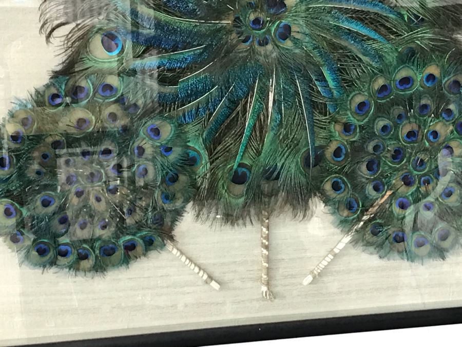 Shadow Box Framed Set Of (3) Vintage Peacock Fans [Photo 5]