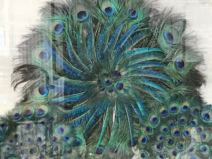 Shadow Box Framed Set Of (3) Vintage Peacock Fans [Photo 4]