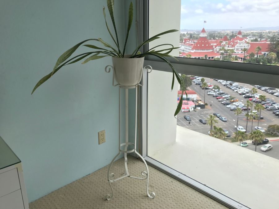 White Wrought Iron Plant Stand With Potted Plant