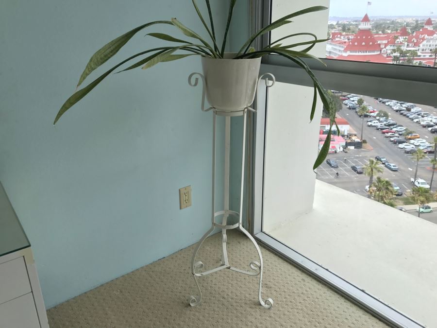 White Wrought Iron Plant Stand With Potted Plant [Photo 6]