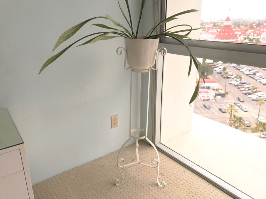 White Wrought Iron Plant Stand With Potted Plant [Photo 5]