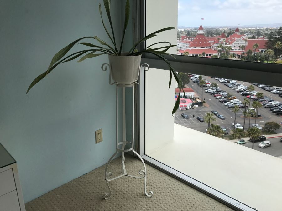 White Wrought Iron Plant Stand With Potted Plant [Photo 2]