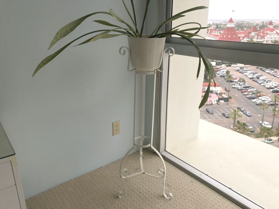 White Wrought Iron Plant Stand With Potted Plant [Photo 3]