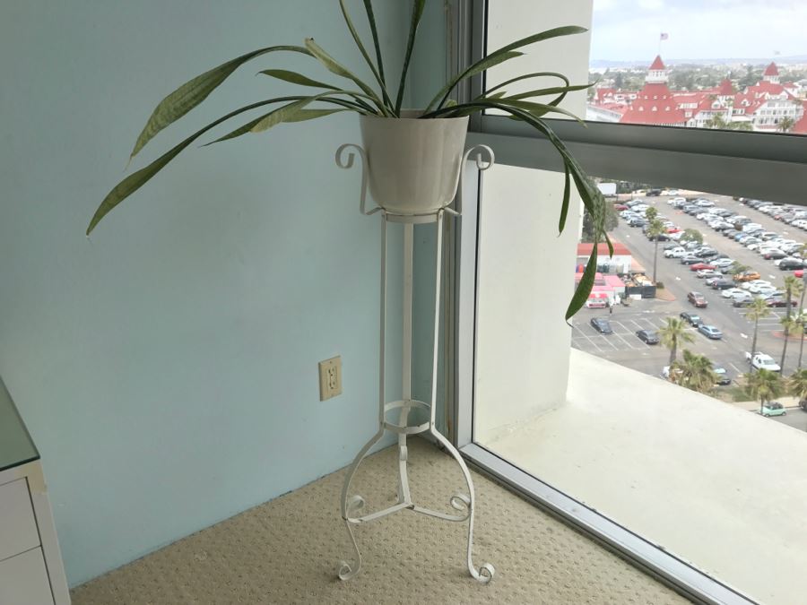 White Wrought Iron Plant Stand With Potted Plant [Photo 4]