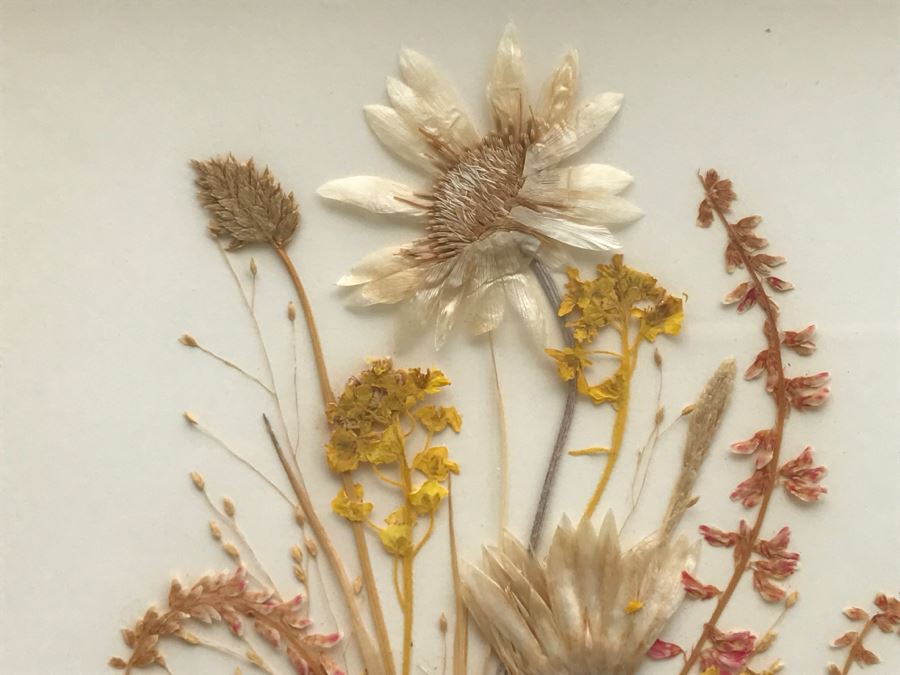 Framed Dried Flower Display Reichlin Handmade In Switzerland For H. Kirsch, Imports [Photo 4]