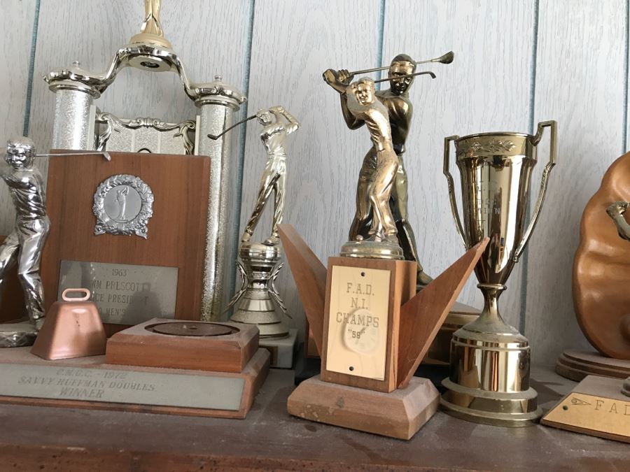 Collection Of Trophies On Top Of Cabinet [Photo 5]