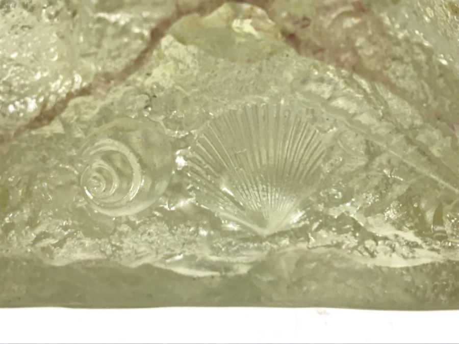 Fish Swimming In Ocean Seashell Resin Sculpture [Photo 11]
