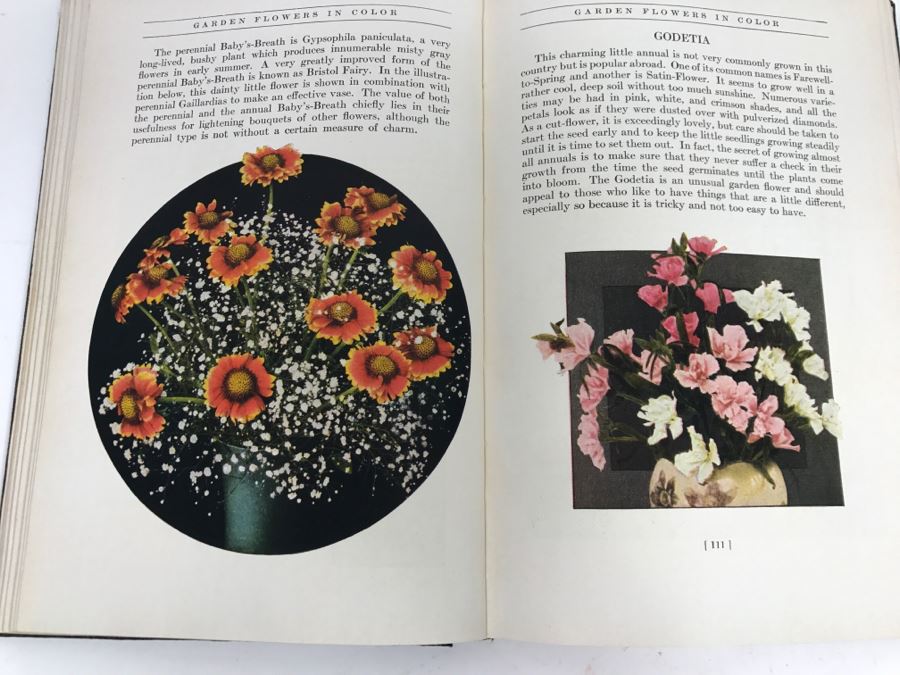 Vintage 1936 Hardcover Book Garden Flowers In Color A Picture Cyclopedia Of Flowers By G. A. Stevens New York Macmillan Co [Photo 9]