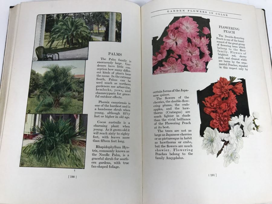 Vintage 1936 Hardcover Book Garden Flowers In Color A Picture Cyclopedia Of Flowers By G. A. Stevens New York Macmillan Co [Photo 2]