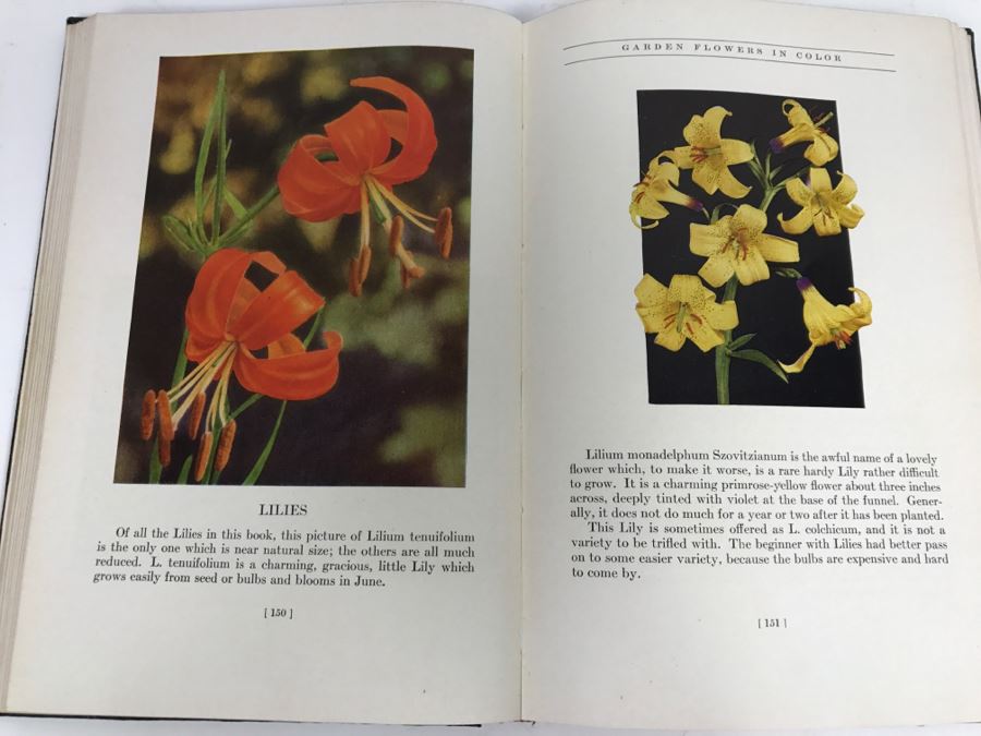 Vintage 1936 Hardcover Book Garden Flowers In Color A Picture Cyclopedia Of Flowers By G. A. Stevens New York Macmillan Co [Photo 8]