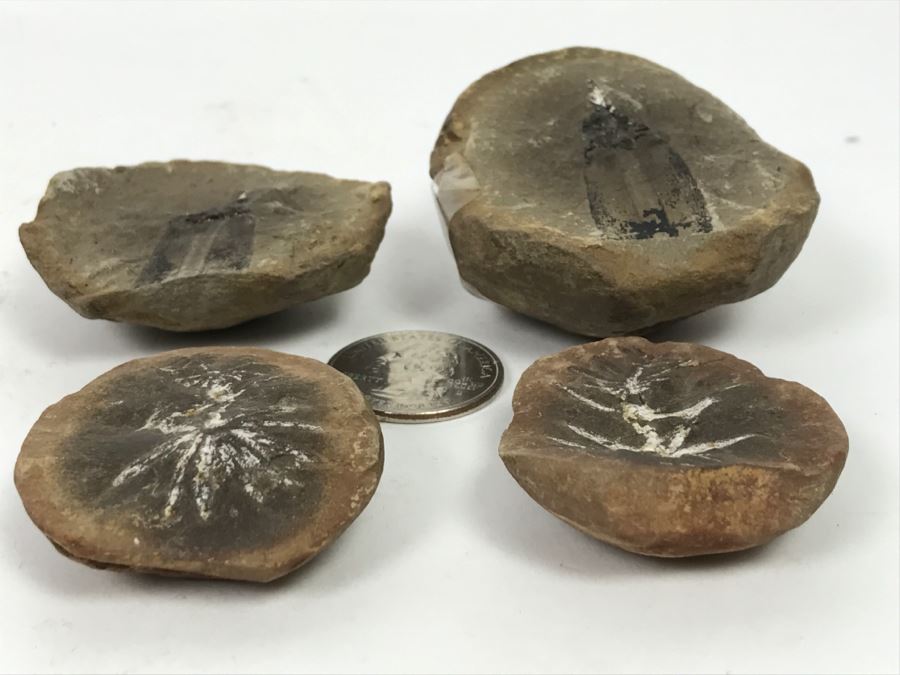 Pair Of Split Open Fossil Rocks [Photo 9]