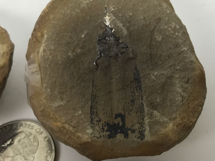 Pair Of Split Open Fossil Rocks [Photo 5]