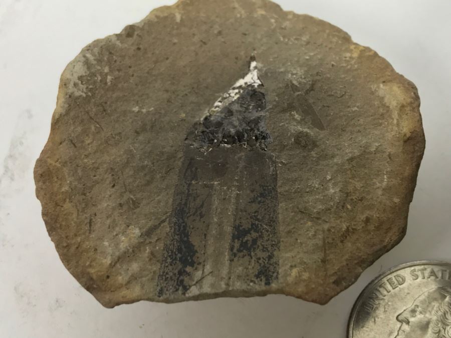 Pair Of Split Open Fossil Rocks [Photo 6]