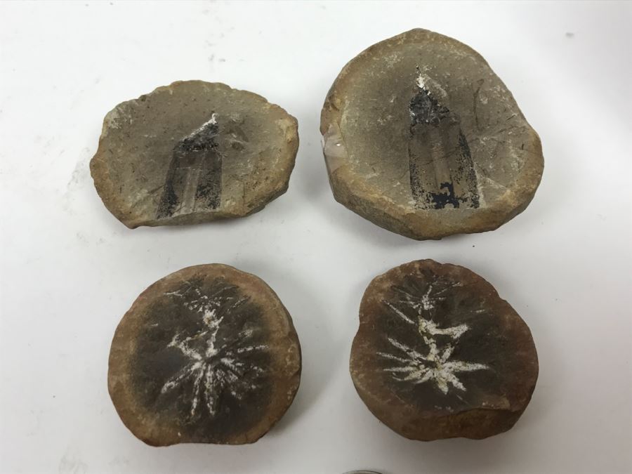 Pair Of Split Open Fossil Rocks [Photo 3]