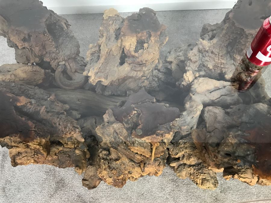 Impressive Organic Burl Wood Coffee Table Base With 3/4' Amoeba Glass Top [Photo 13]