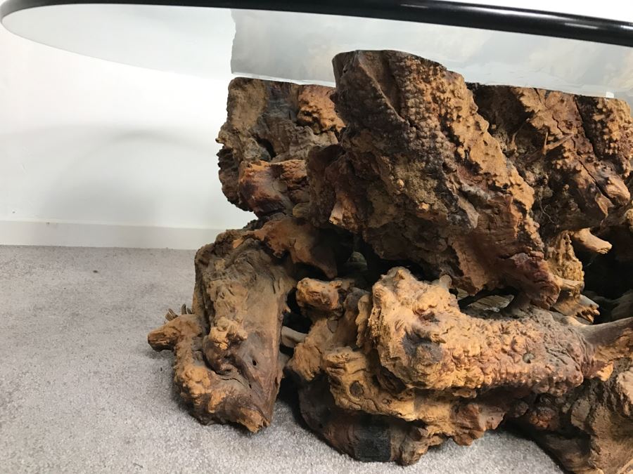 Impressive Organic Burl Wood Coffee Table Base With 3/4' Amoeba Glass Top [Photo 11]
