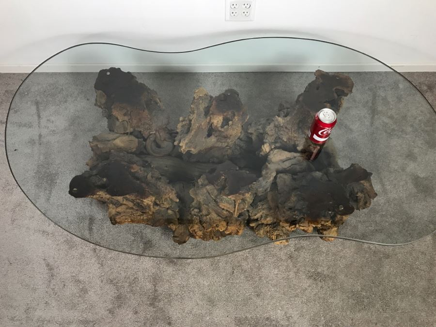 Impressive Organic Burl Wood Coffee Table Base With 3/4' Amoeba Glass Top [Photo 12]