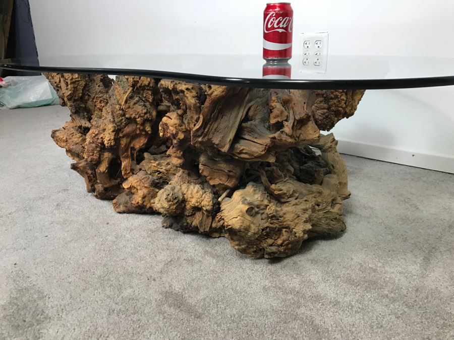 Impressive Organic Burl Wood Coffee Table Base With 3/4' Amoeba Glass Top [Photo 15]