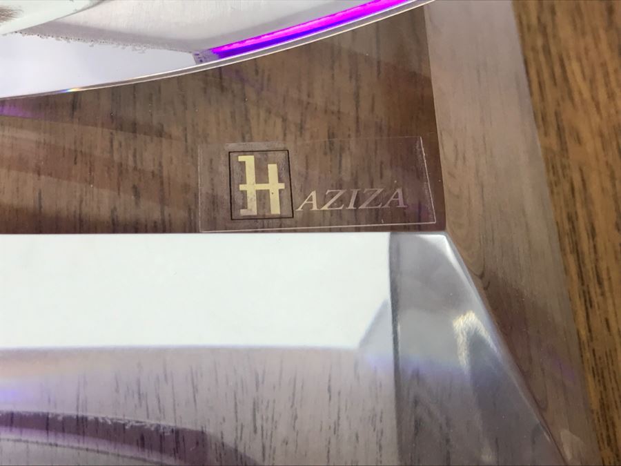 Signed Acrylic Sculpture By Israeli Artist Shlomi Haziza Estimate $900 18'H [Photo 7]