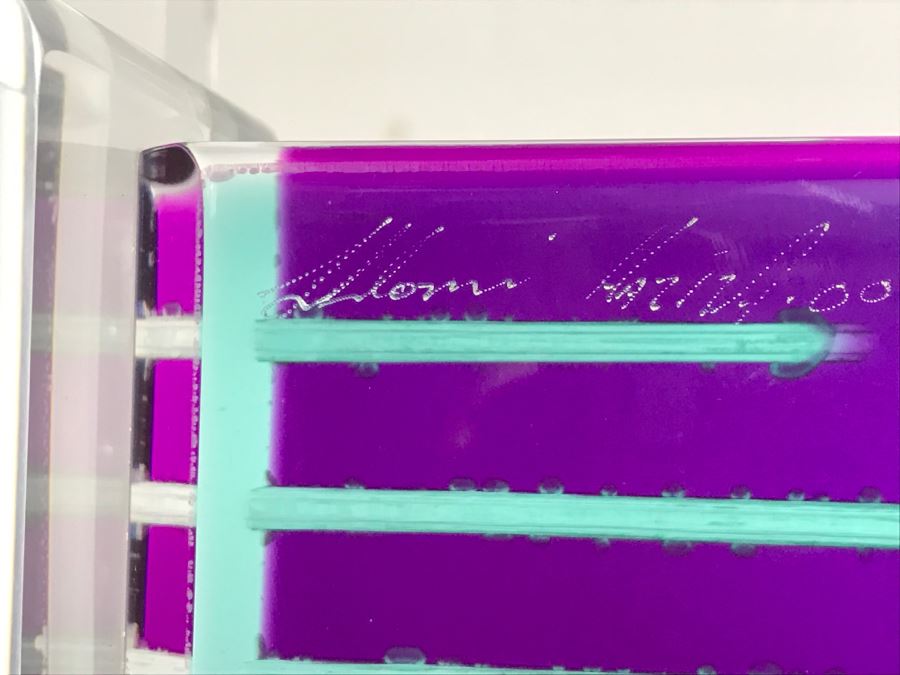 Signed Acrylic Sculpture With Haziza Labeled Base By Israeli Artist Shlomi Haziza Estimate $2,500 62'H [Photo 18]