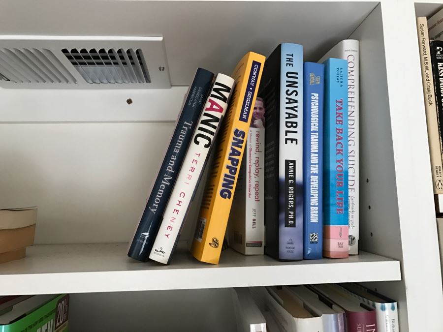 JUST ADDED - MEGA OFFICE LOT # 1 Featuring All Items On Bookshelves, Desk Top And In One Drawer With Books, Home Decor, See Details And Photos [Photo 44]