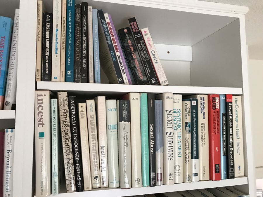 JUST ADDED - MEGA OFFICE LOT # 1 Featuring All Items On Bookshelves, Desk Top And In One Drawer With Books, Home Decor, See Details And Photos [Photo 46]