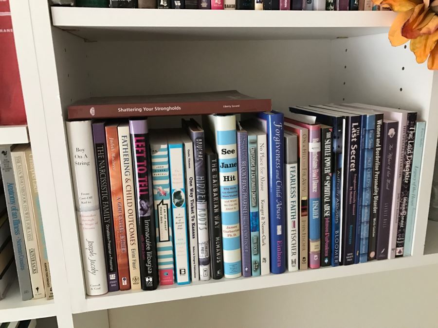 JUST ADDED - MEGA OFFICE LOT # 1 Featuring All Items On Bookshelves, Desk Top And In One Drawer With Books, Home Decor, See Details And Photos [Photo 5]